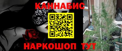 крисы Волгодонск