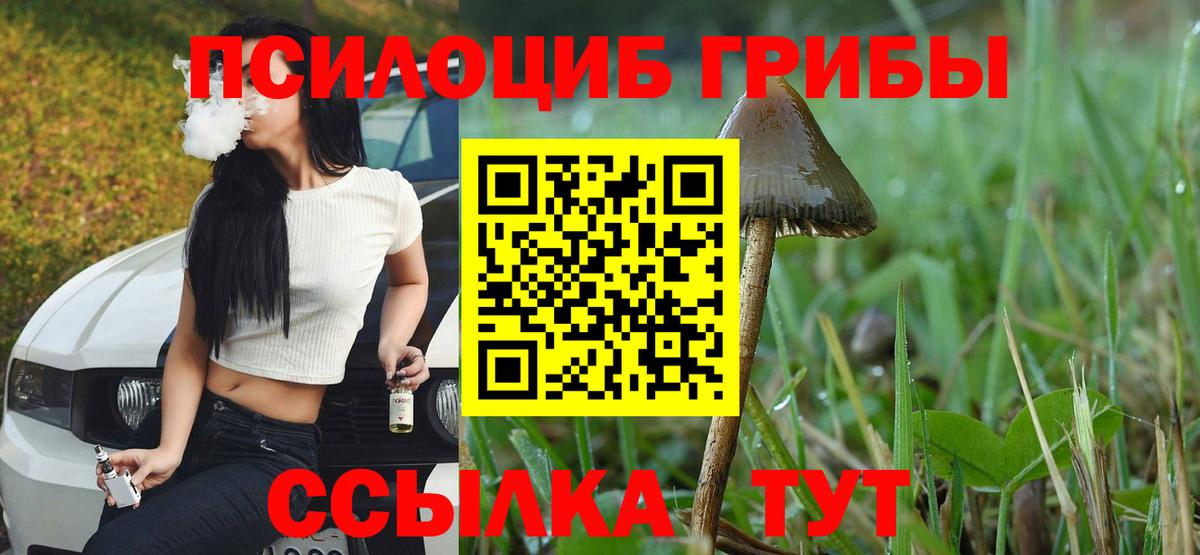 Псилоцибиновые грибы GOLDEN TEACHER Ейск